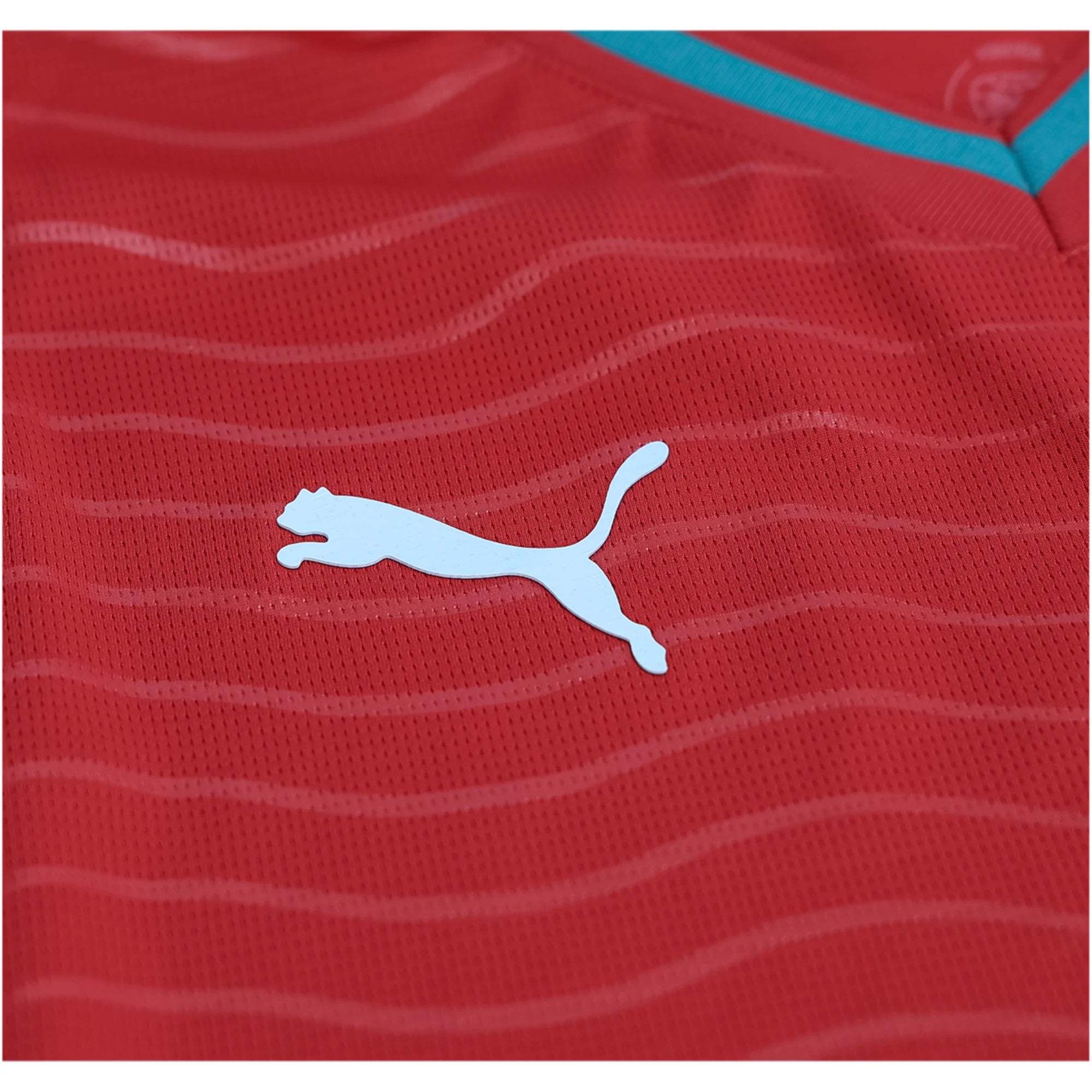 PUMA Men's Portugal Cristiano Ronaldo Long Sleeve Home World Cup 2026 Jersey (Club Red/Green Lagoon)