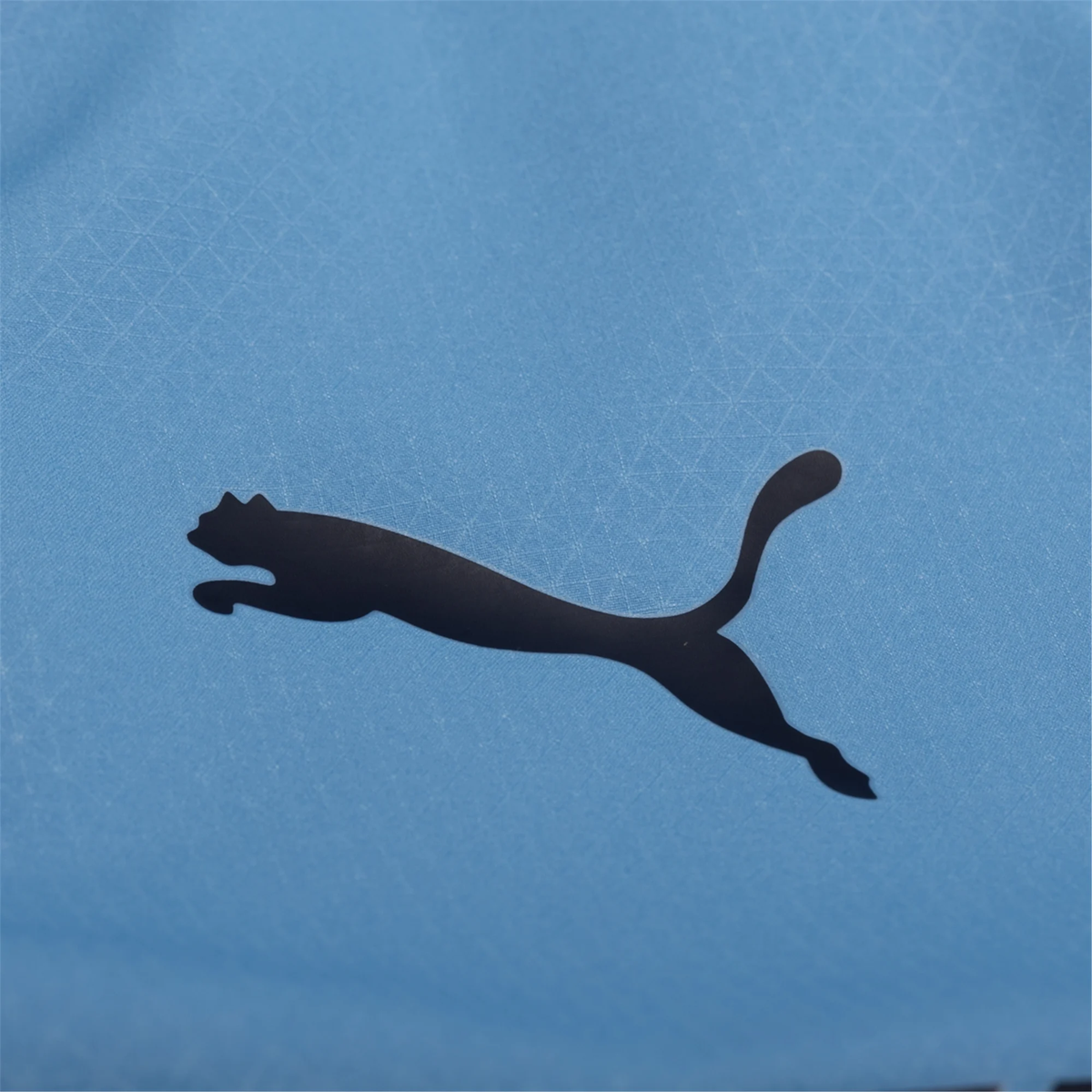 Puma Manchester City Authentic Cherki Home Jersey w/ EPL + No Room For Racism Patches 25/26 (Team Light Blue/White)